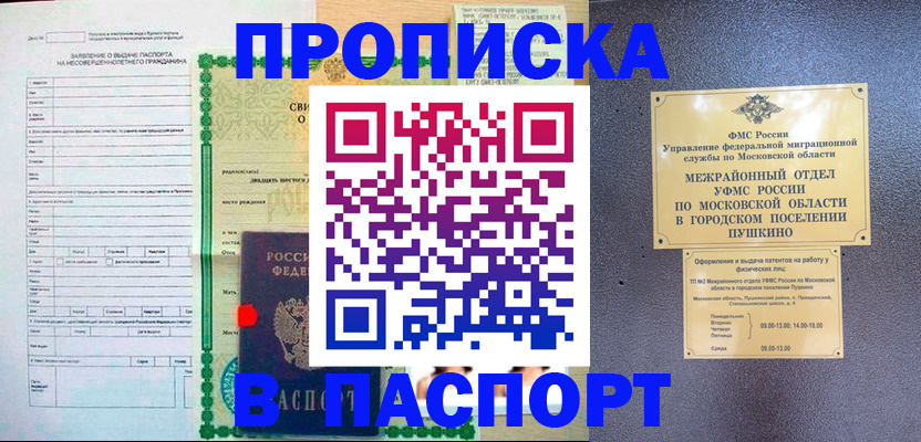 временная регистрация госуслуги в Пересвете